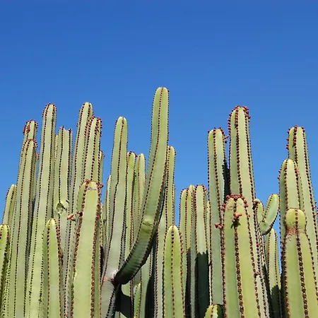 Salobre Golf 2 By Villagrancanaria 빌라